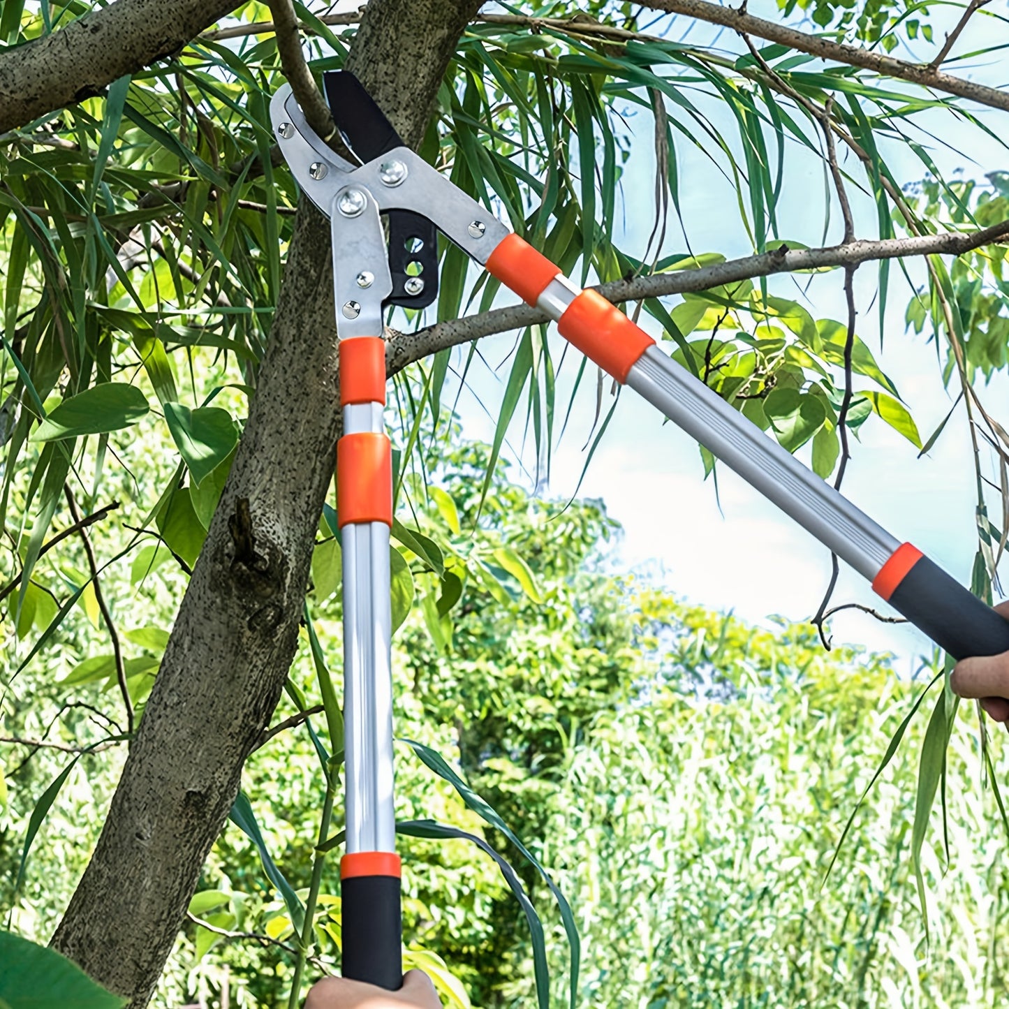 Adjustable telescopic tree trimmer with heavy-duty pruning shears, high-carbon steel blade, and contemporary metal construction for lawn and garden care.