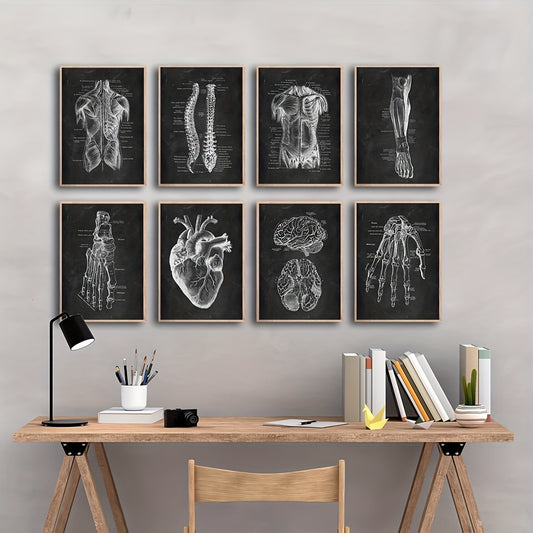 8 pieces of vintage human anatomy artwork including skeleton, muscle system, and medical posters on canvas print for education and study room décor.