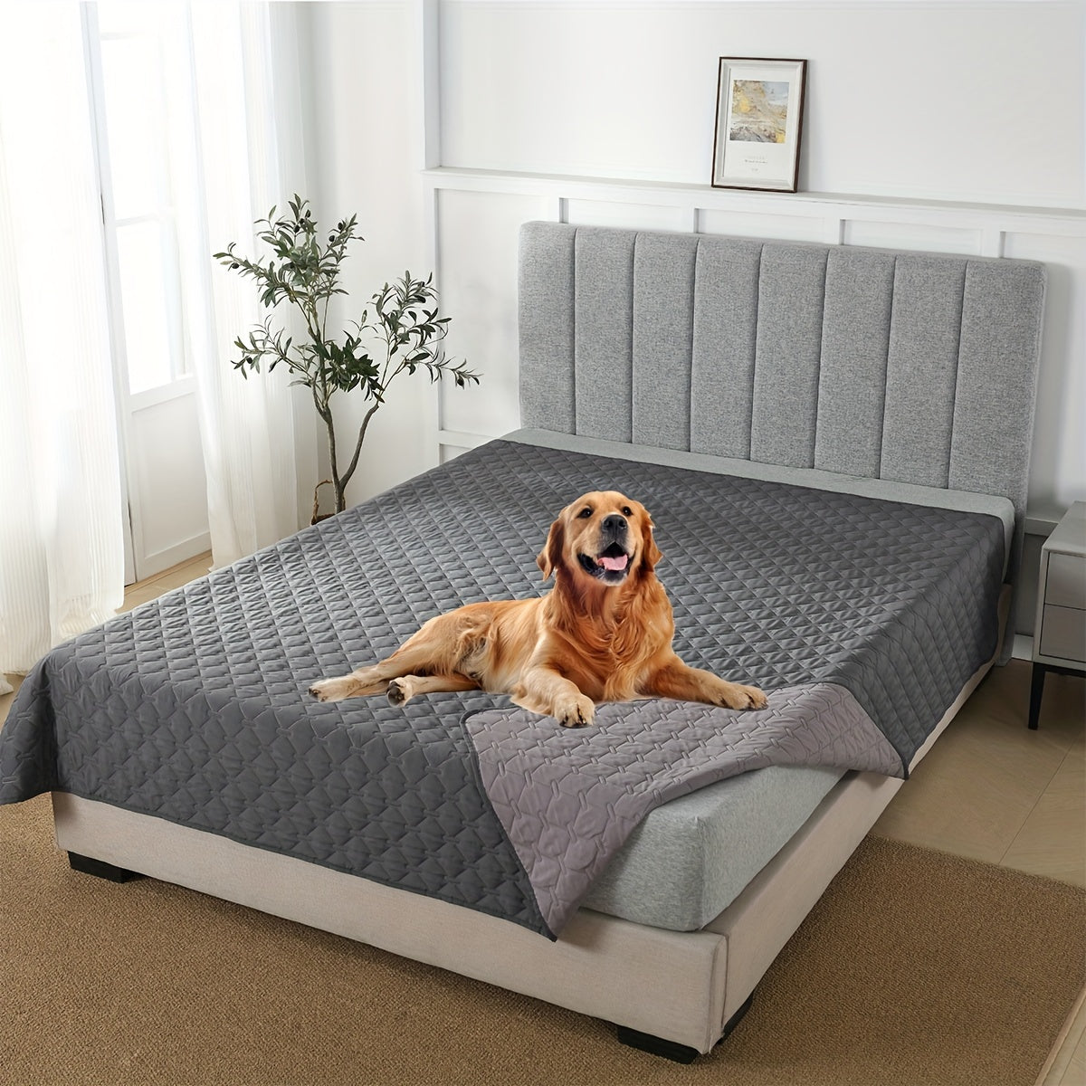 Waterproof pet blanket for dogs to protect sofa and furniture.