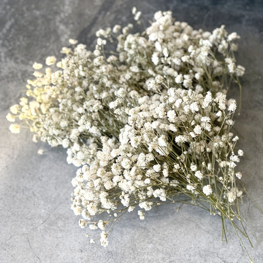 White mini dry baby breath flower bouquets - perfect for weddings, home decor, parties, and DIY projects. Comes with delicate ivory plaster vase stuffing for easy arrangement. Ideal for cards and flower arrangements.