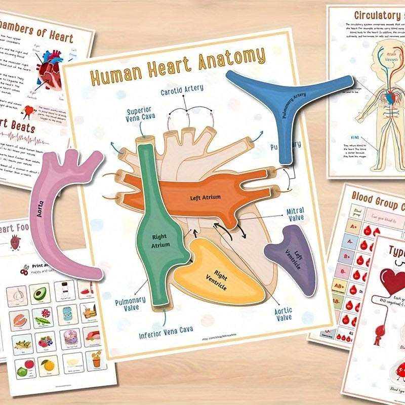 1pc Human Anatomy Busy Book - Interactive Organ Matching Activity, Educational Birthday Gift for All Ages, Quiet Travel Edition