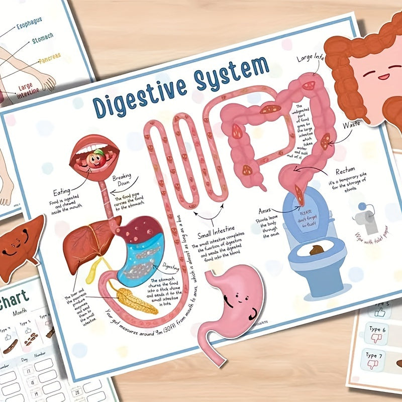 1pc Human Anatomy Busy Book - Interactive Organ Matching Activity, Educational Birthday Gift for All Ages, Quiet Travel Edition