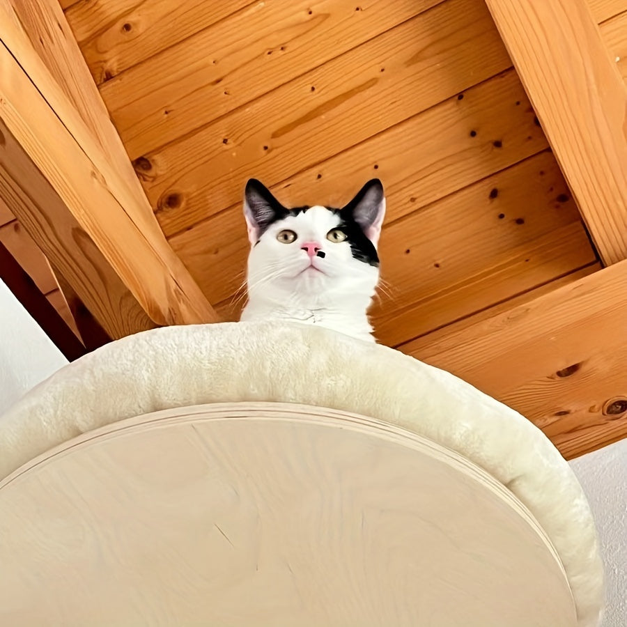 Contemporary wall-mounted cat bed made from raw wood for indoor cats.