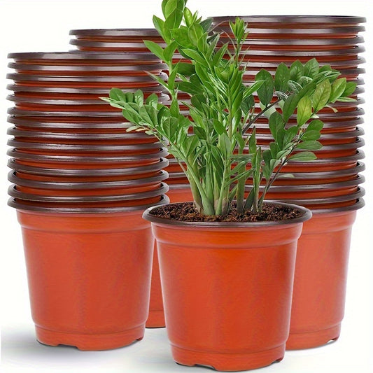 50 seedling pots with drainage holes for growing succulents, vegetables, saplings, and flowers.