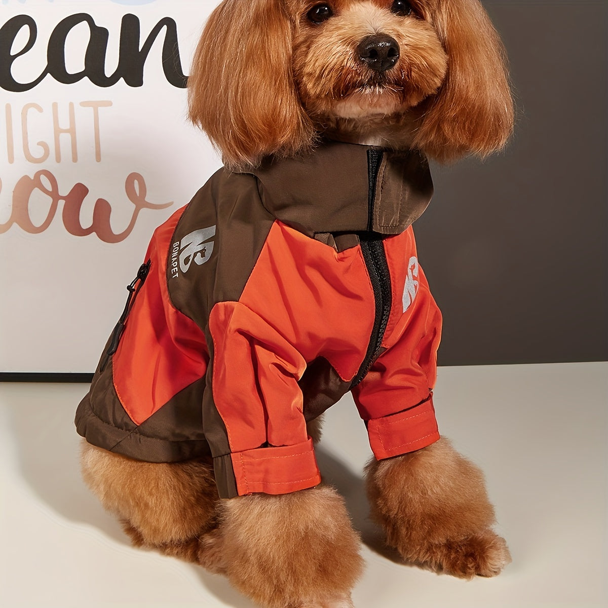 Reflective winter jacket for pets with color block design.