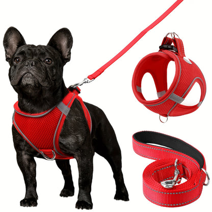 Joytale Reflective Dog Harness and Leash Set for small to medium breeds. Comfortable mesh vest with padded nylon lead, dual D-ring, poop bag dispenser.