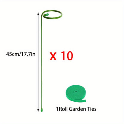 5/10 Metal garden plant stakes for single-stemmed flower support hoops, ideal for amaryllis, orchids, lilies, roses, and peonies.