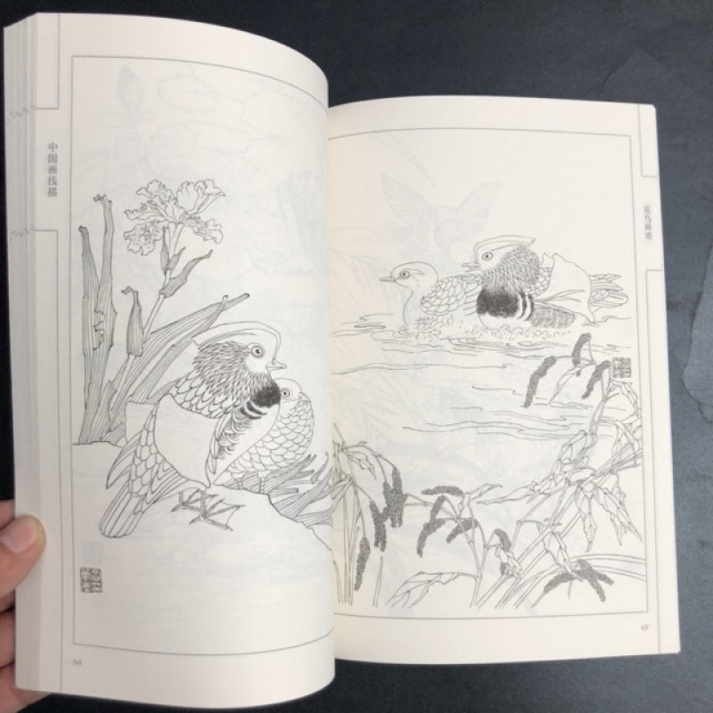 Chinese version of Flower and Bird Painting Manual with Line Drawings