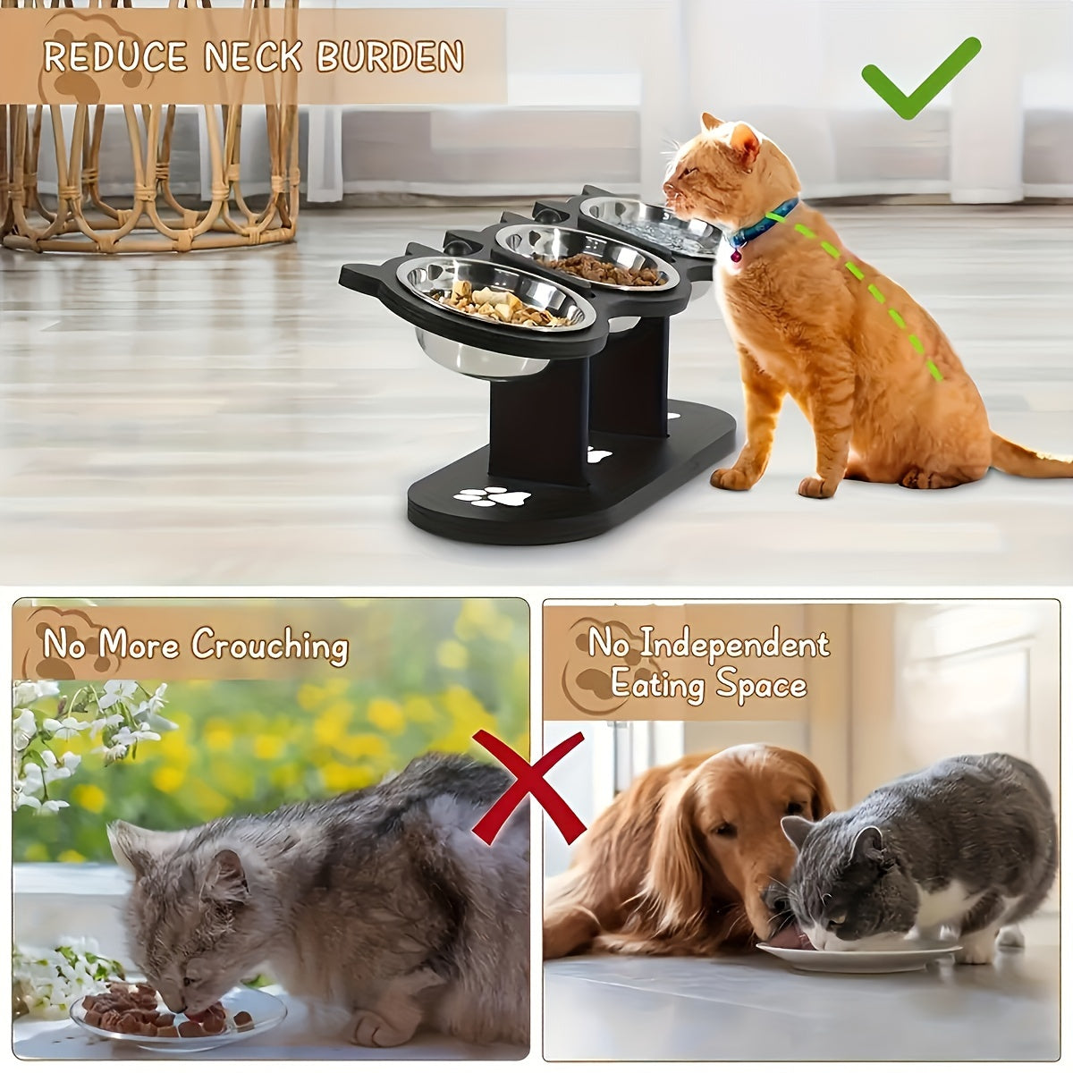 Elevated, adjustable cat and dog food bowl with tilted design for small pets. Includes 3 stainless steel stands for easy assembly and cleaning. Ideal for multiple kittens.