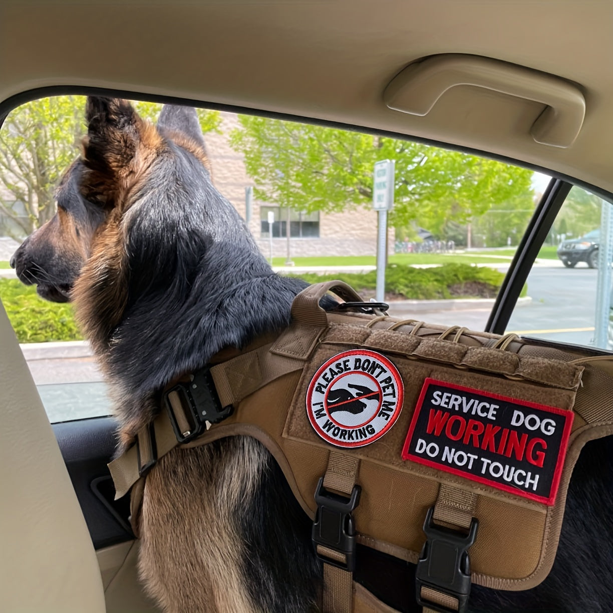 [Best Seller] Set of 10 J.CARP Service Dog Patches - Tactical & Training Phrases, Made with Strong Acrylic, Embroidered with Hook & Loop Fastener for Vests, Harnesses & Collars