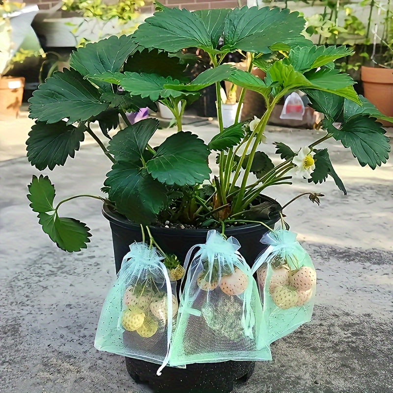 100 Garden Netting Bags: Lightweight, Breathable Protection for Fruits from Birds and Insects