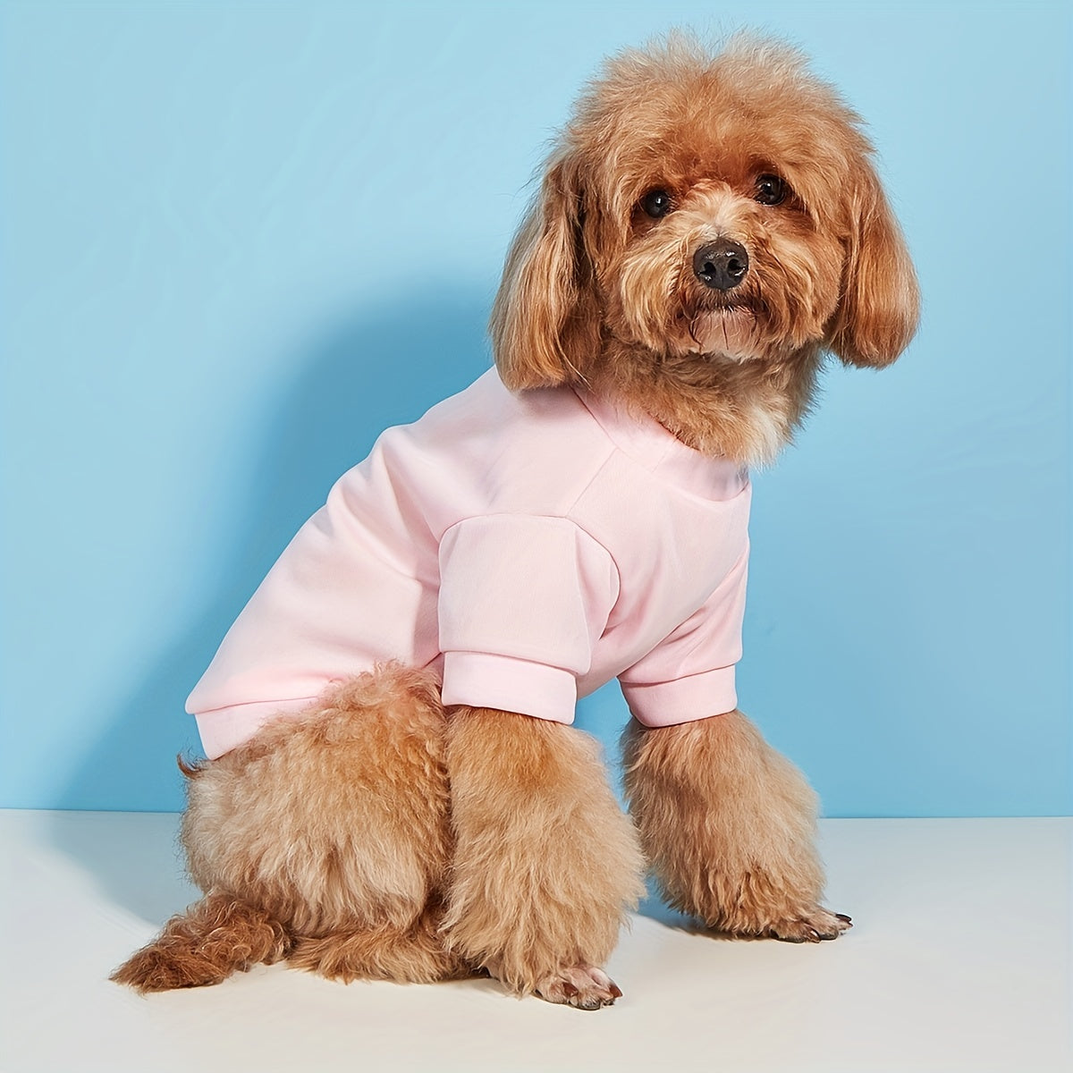 Quick Dry Pet Tee for Summer Parties - Cute and Casual