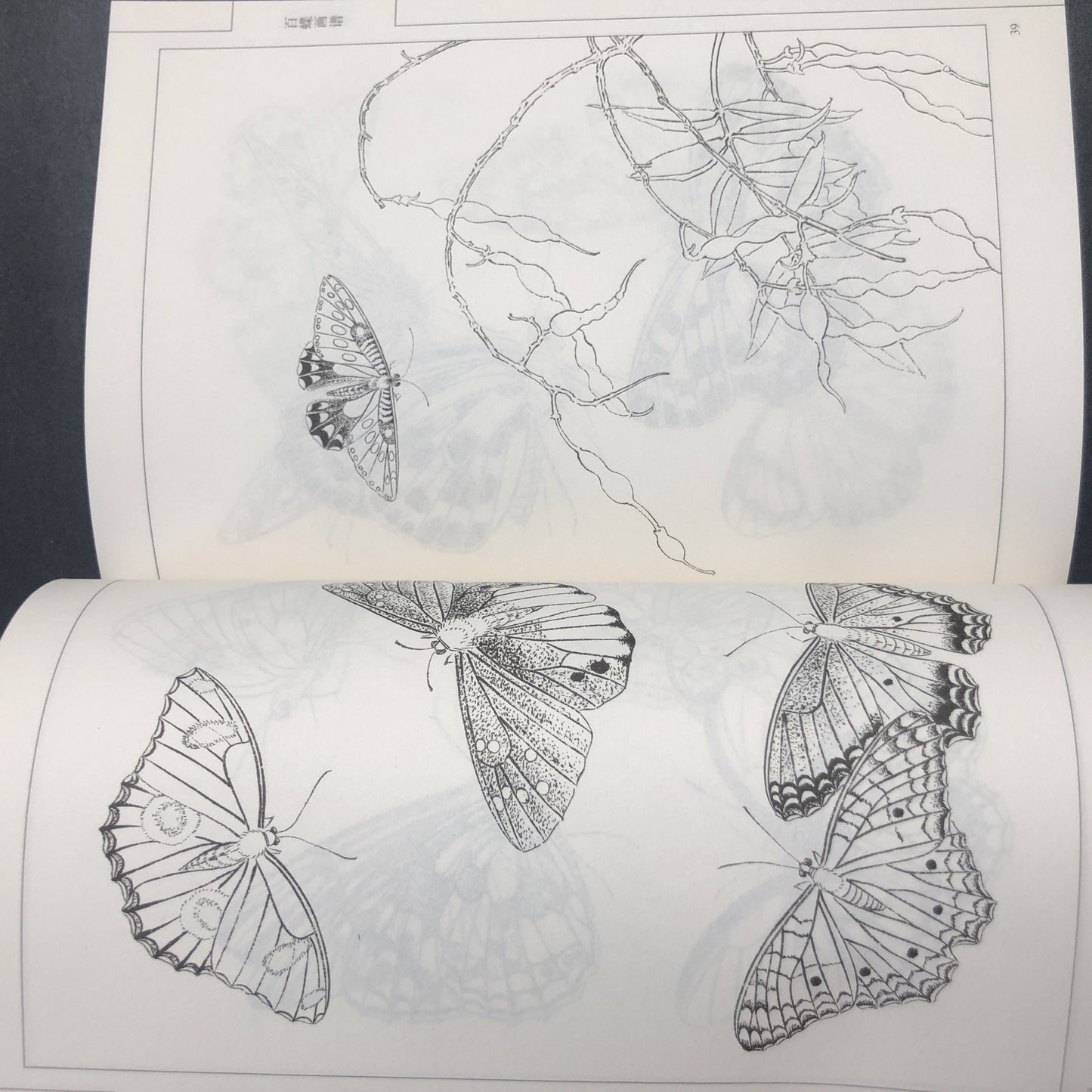 Chinese version of Painting Book of Hundred Butterflies, with line drawing.