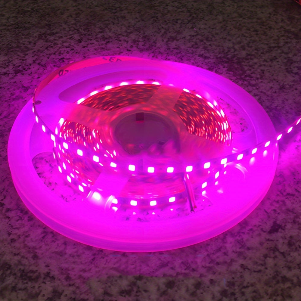 32.8ft/10m LED light strips, 24V, 2835 120LED/M, for home decor, plastic material, DC power.