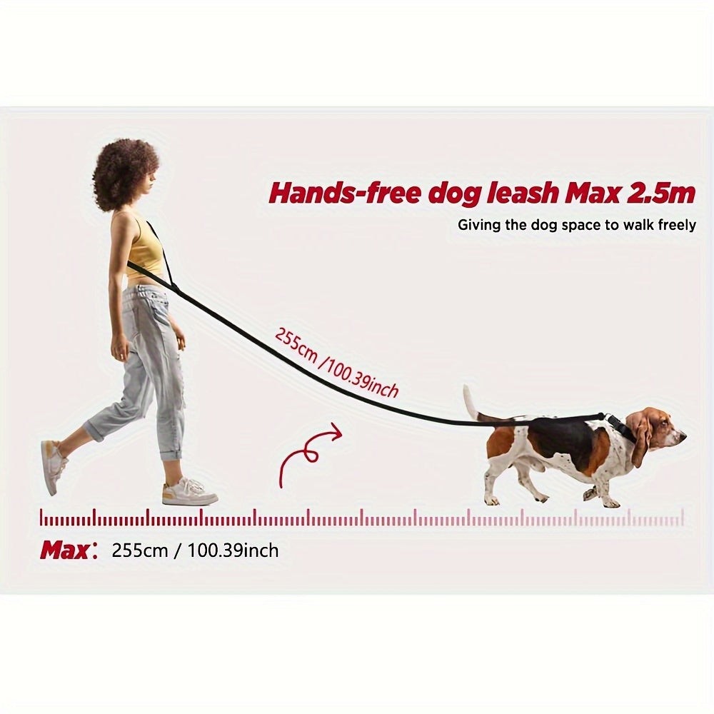 6-in-1 Hands-Free Dog Leash for Medium to Large Dogs - 3.05m, Striped Polyester, Full Metal Fittings, Safety Car Seat Belt, Shock Absorbing Bungee