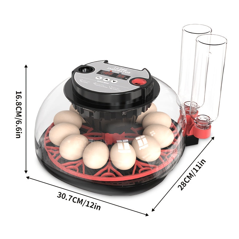 Package includes fully automatic incubator for 12 eggs with turning and humidity control, ideal for hatching various bird eggs at home.