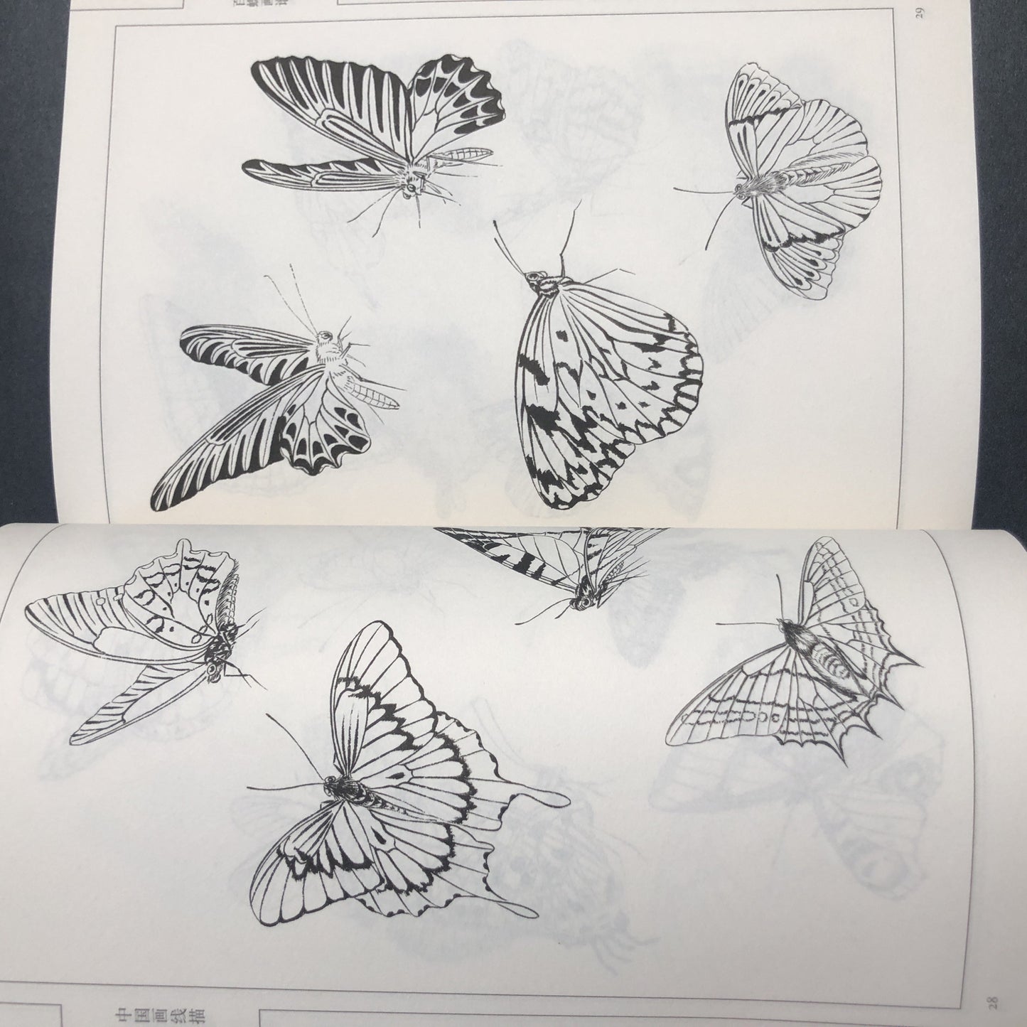 Chinese version of Painting Book of Hundred Butterflies, with line drawing.