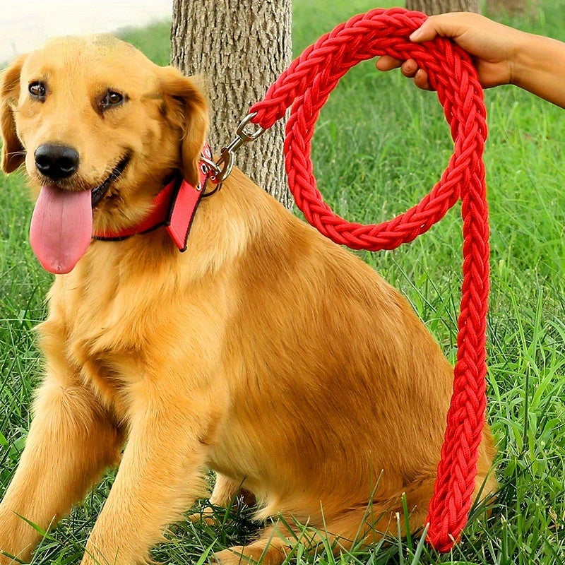 Heavy duty dog collar and leash set with braided training leash.