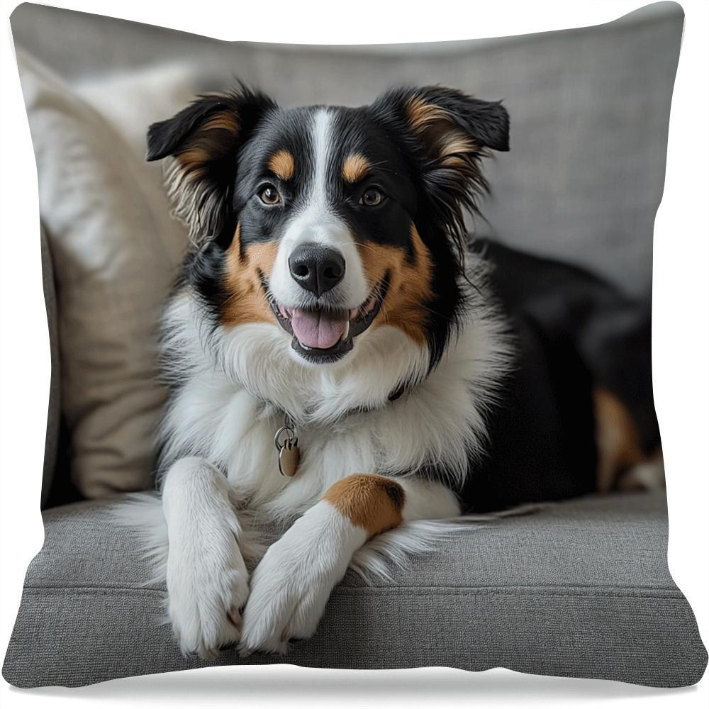 Polyester Throw Pillow Cover featuring an Australian Shepherd Dog design. Square cushion case with removable cover, machine washable and light compression. Ideal for use on your sofa, bedroom, or in the office. Fits cushions up to 45.01cm. Note: Cushion