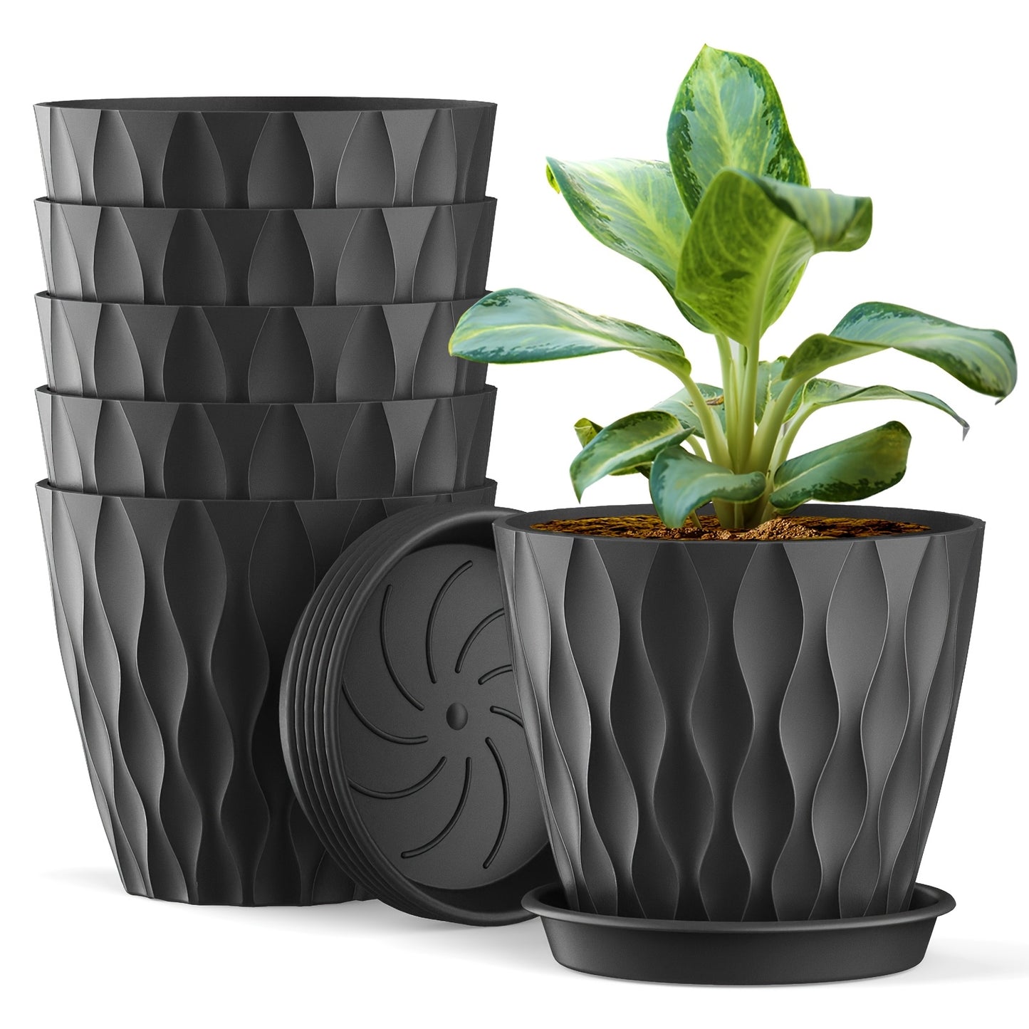 6 plastic planters with drainage holes, 15.24cm in size. Suitable for indoor and outdoor use with a variety of plants. Plants not included.