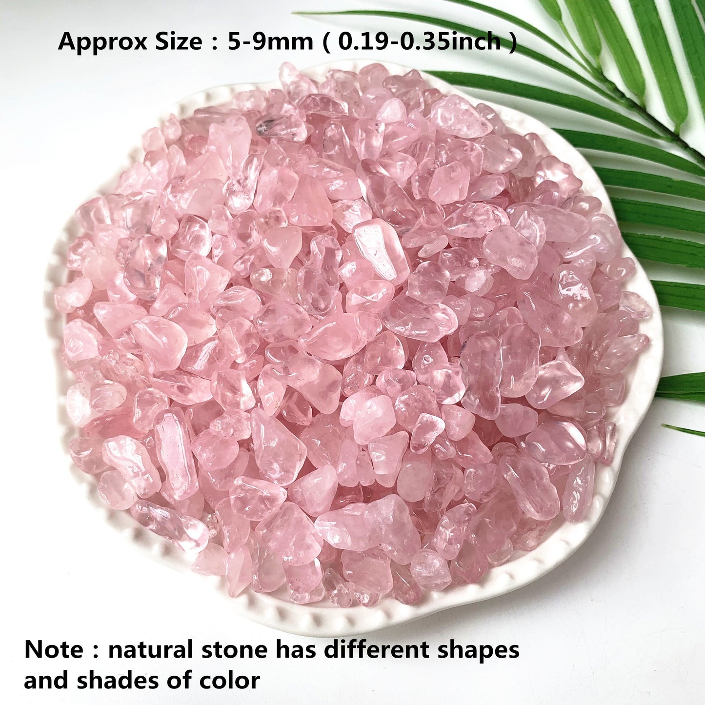 50g/100g Natural Rose Quartz Chips for Healing and Decoration in Plants, Flowerpots, Terrariums, and Fish Tanks.