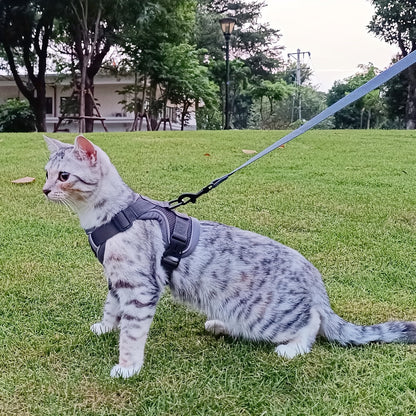 Extra large striped tactical cat harness with quick-release buckles made of machine washable polyester material.