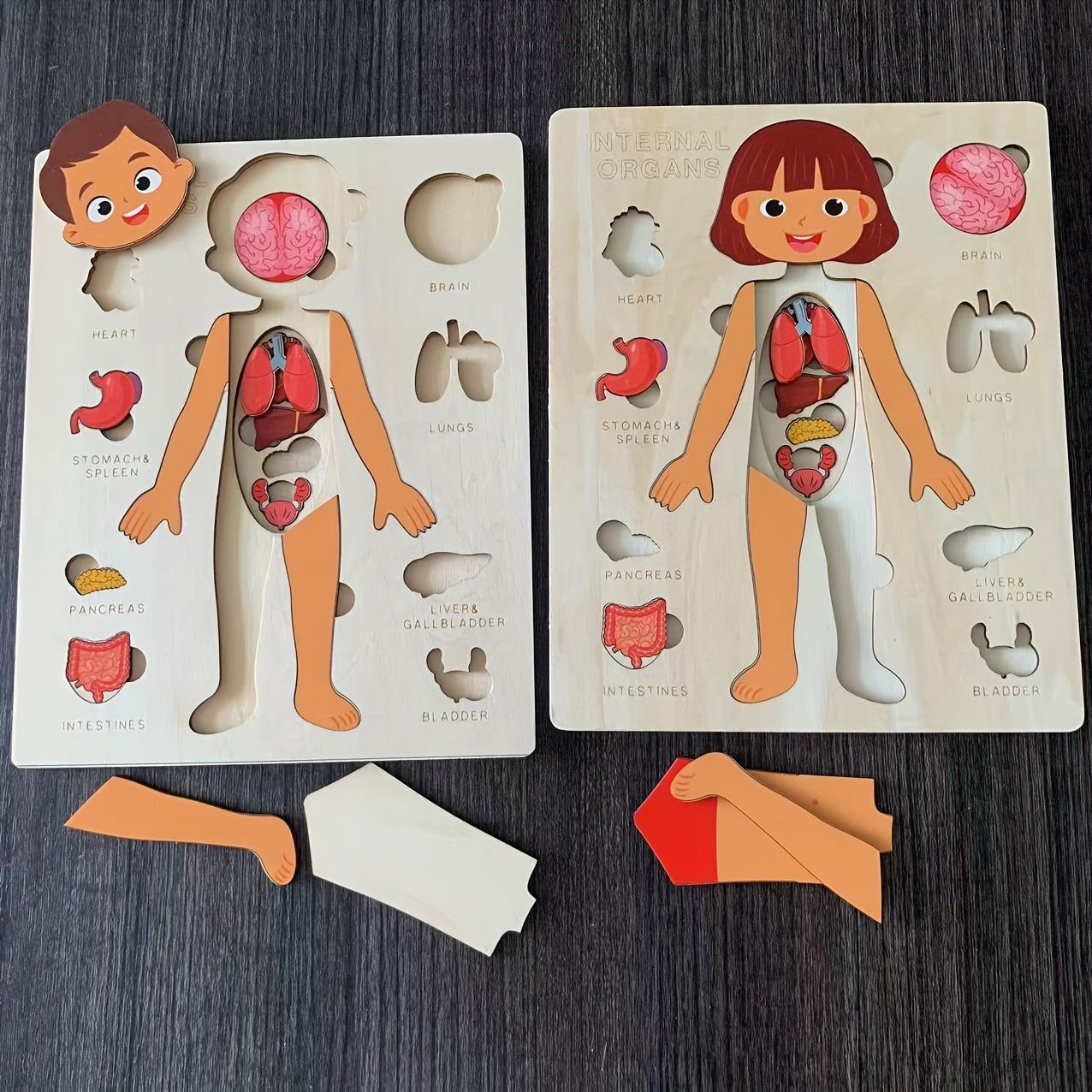 Children's Wooden Puzzle of the Human Body, Educational Tabletop Toy for Early Childhood Development, Encourages Parent-Child Interaction, Perfect for Mother and Baby Bonding, Ideal Toy for Children