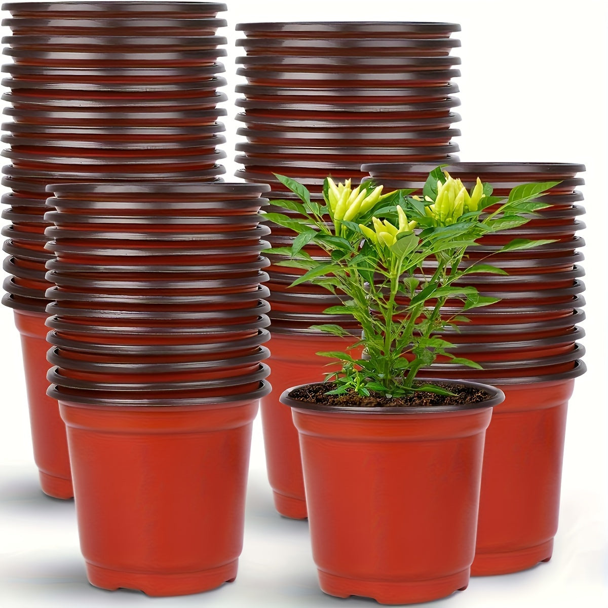 50-pack of traditional style cone-shaped seedling cups with drainage holes for indoor and outdoor planting, garden care, and potting.