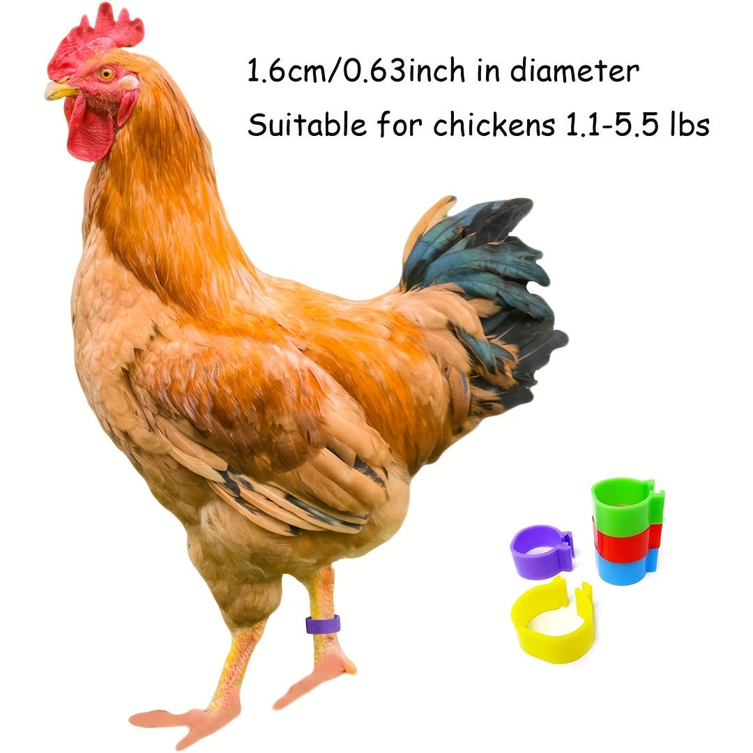 100 Chicken leg rings in 5 colors for ducks, chicks, chickens, guinea pigs, geese.