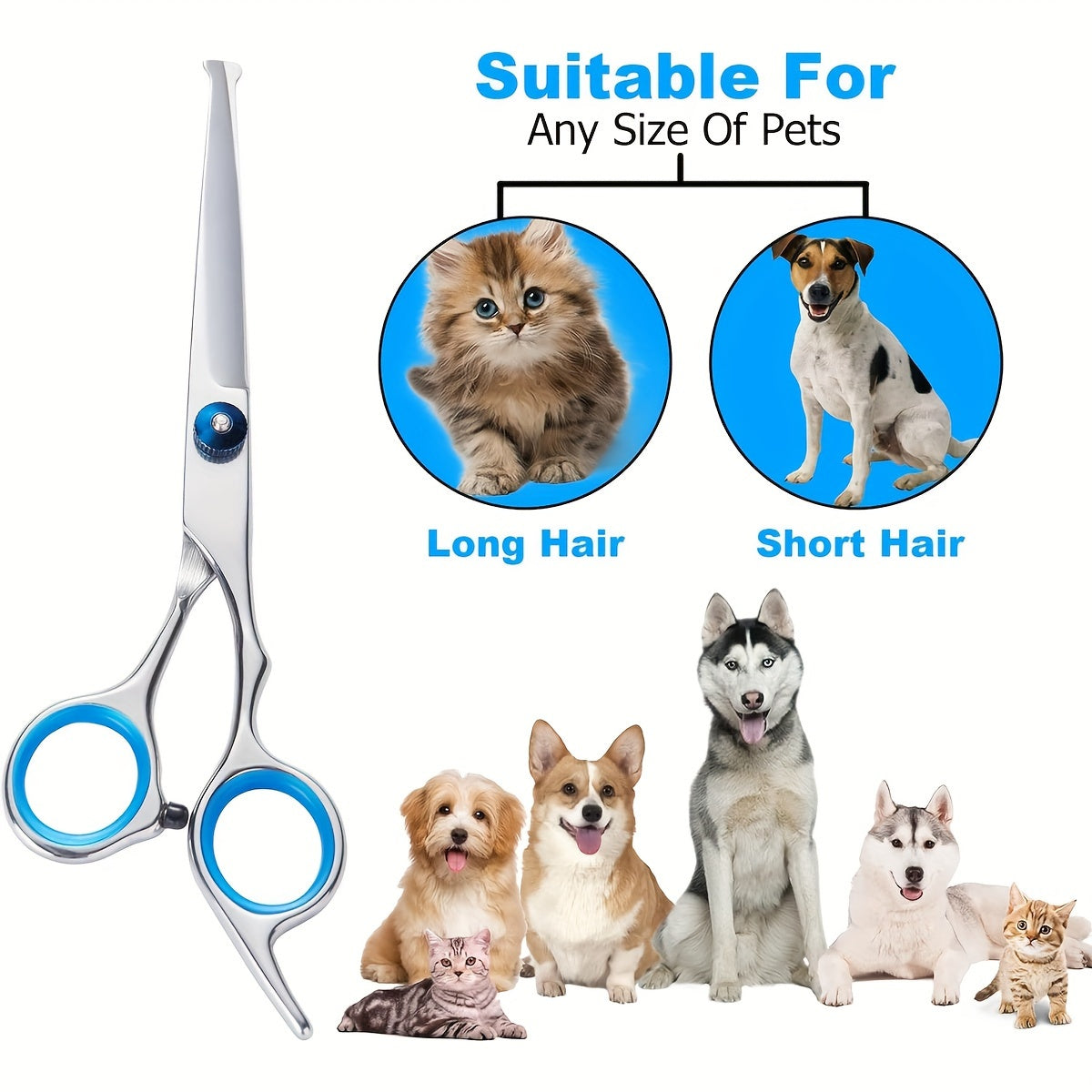 6-piece set of stainless steel pet grooming scissors for professional use at home on dogs and cats with universal hand orientation.