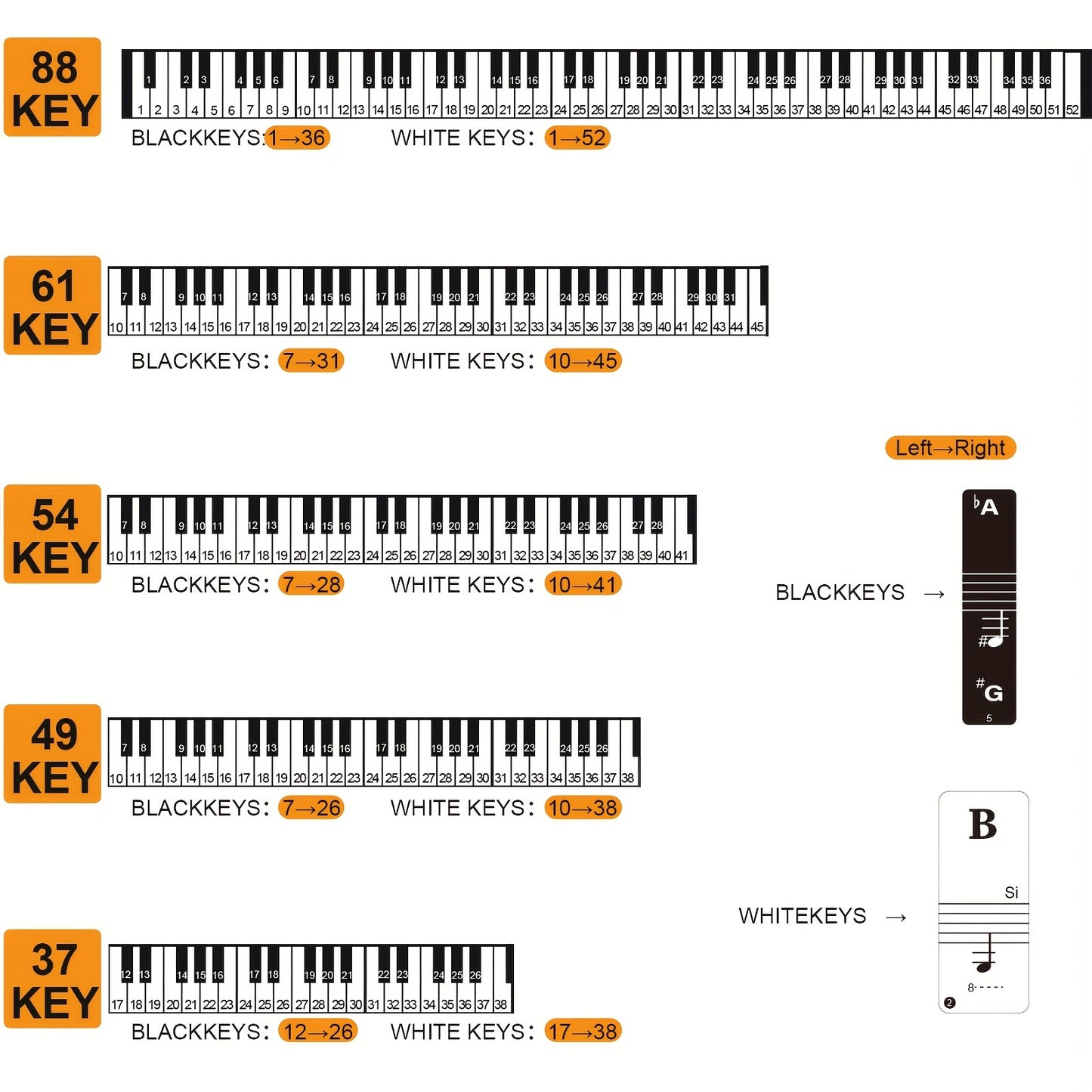 Yangi boshlovchilar uchun oddiy pianino kalitlari stikerlari - Turli pianino turlariga mos keladi, olib tashlanadigan va mustahkam, qora