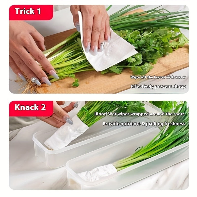 2 plastic storage containers with durable seals for keeping vegetables fresh in the refrigerator, including cilantro, green onions, and mint.