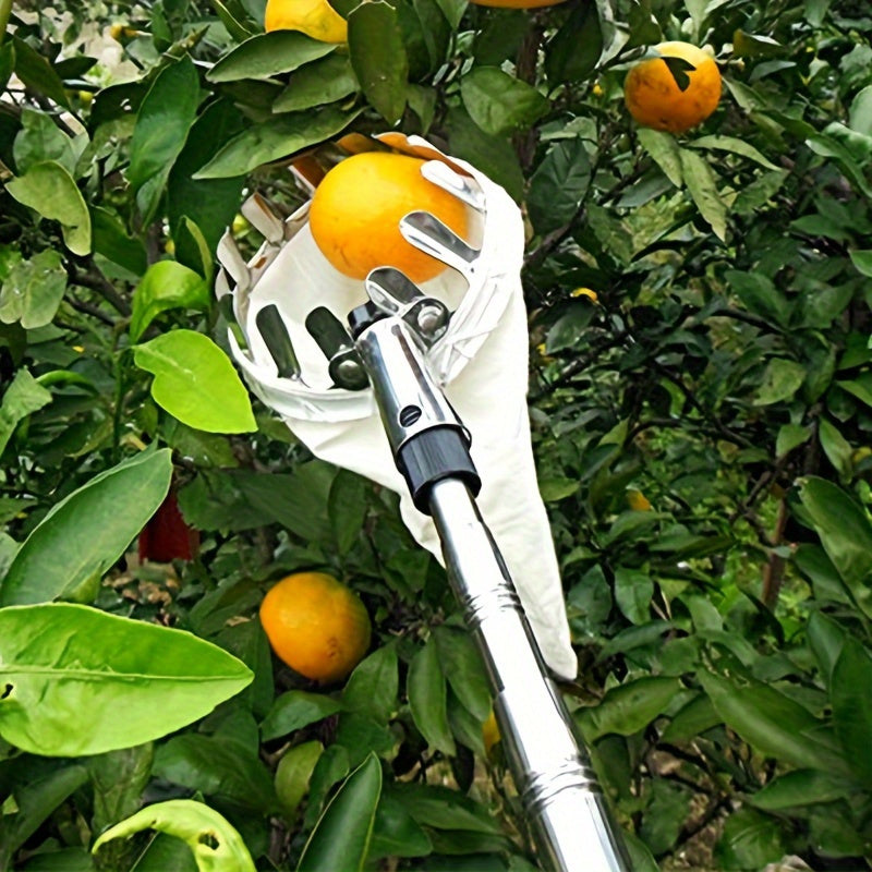 Durable stainless steel fruit picking tool for harvesting apples, oranges, and pears. Enhanced safety features. Ideal gift for New Year or Valentine's Day.