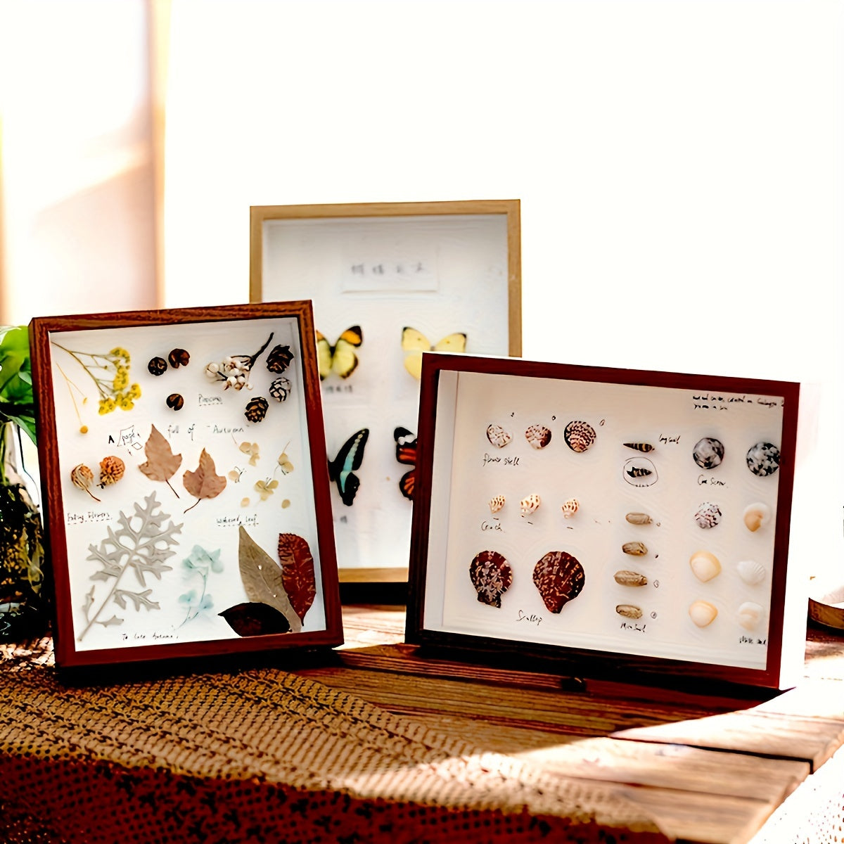 DIY Tabletop Decor: Hollow Photo Frame for Dried Flowers, Plants, and Specimen Display