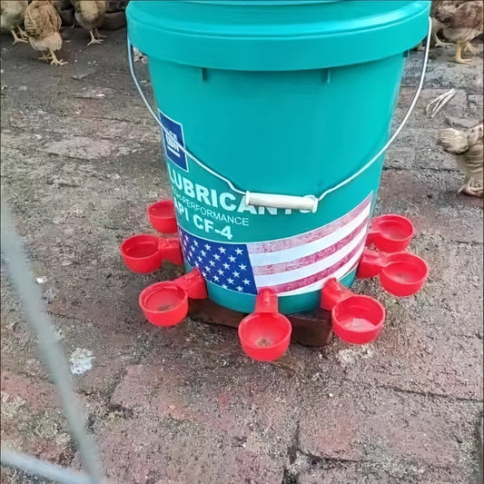 5/10 Automatic Chicken Waterer with Feeder Kit, suitable for various poultry including chicks, duck, goose, turkey, and bunny. Perfect for chicken coop.