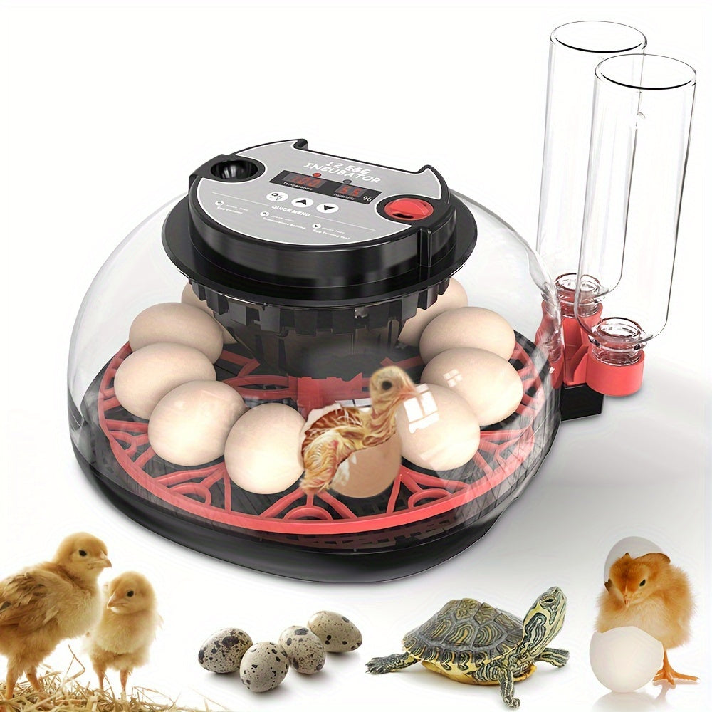 Package includes fully automatic incubator for 12 eggs with turning and humidity control, ideal for hatching various bird eggs at home.