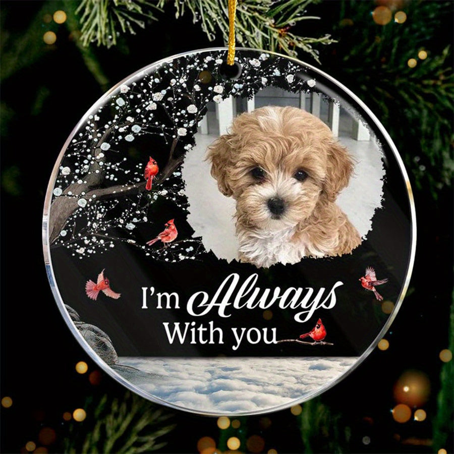 Personalized Acrylic Pet Memorial Sign - A Thoughtful Gift to Honor Your Beloved Dog or Cat, Beautiful Office Decor Suitable for Ages 14 and Up