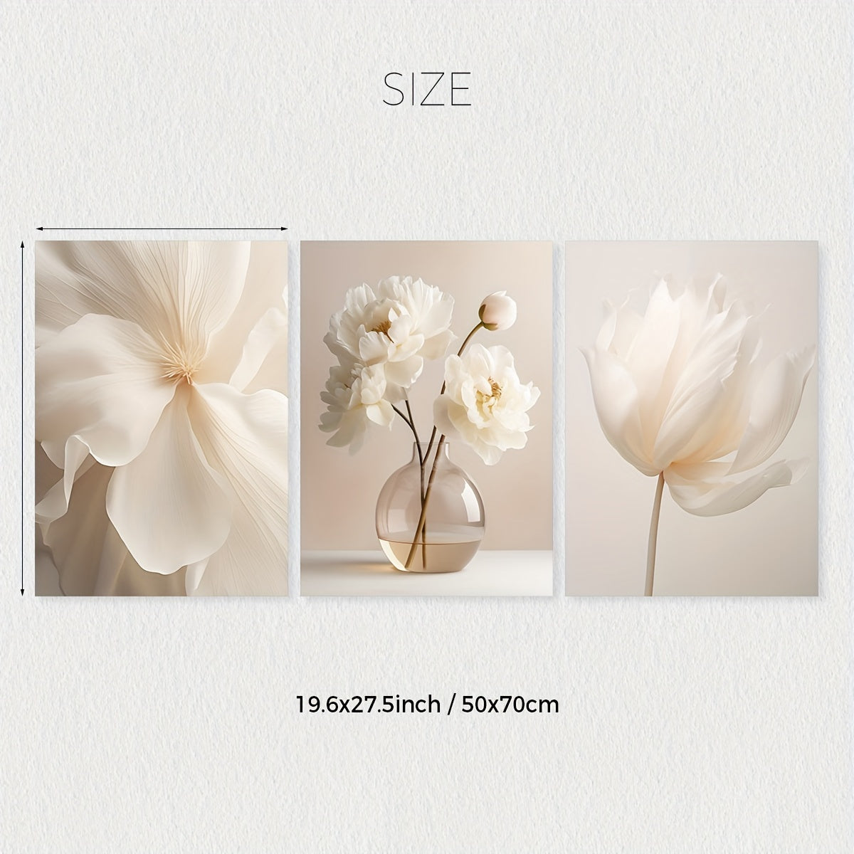 3 white peony flowers wall art prints for modern neutral decor in any room, unframed.