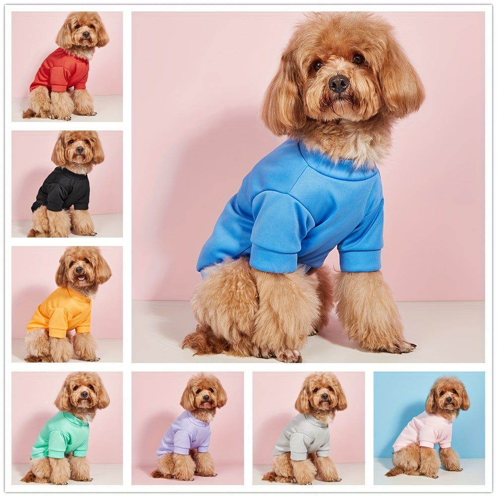 Quick Dry Pet Tee for Summer Parties - Cute and Casual