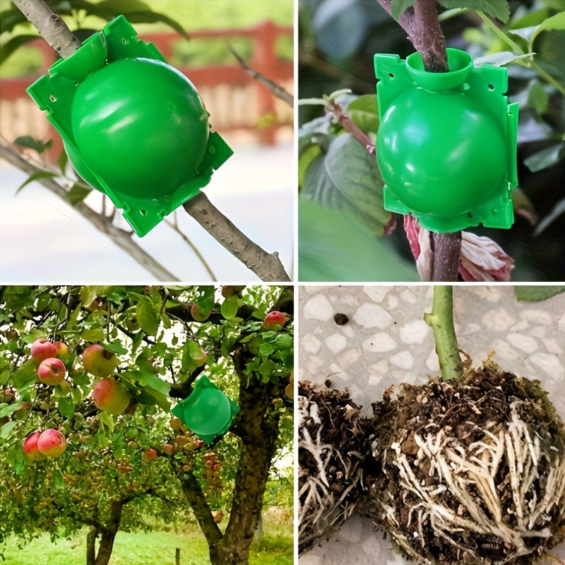 5 root growth boxes for high-pressure plant propagation, air layering, and grafting of plant cuttings in garden trees.