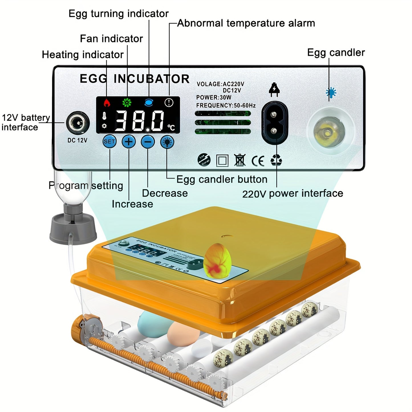 CoInceptus 16-Egg Incubator: Transparent, Orange, LED Lamp, Automatic Water Filling, Easy Assembly. Ideal for Duck, Quail, Goose, Pigeon Eggs. Perfect for Lab Egg Turning.