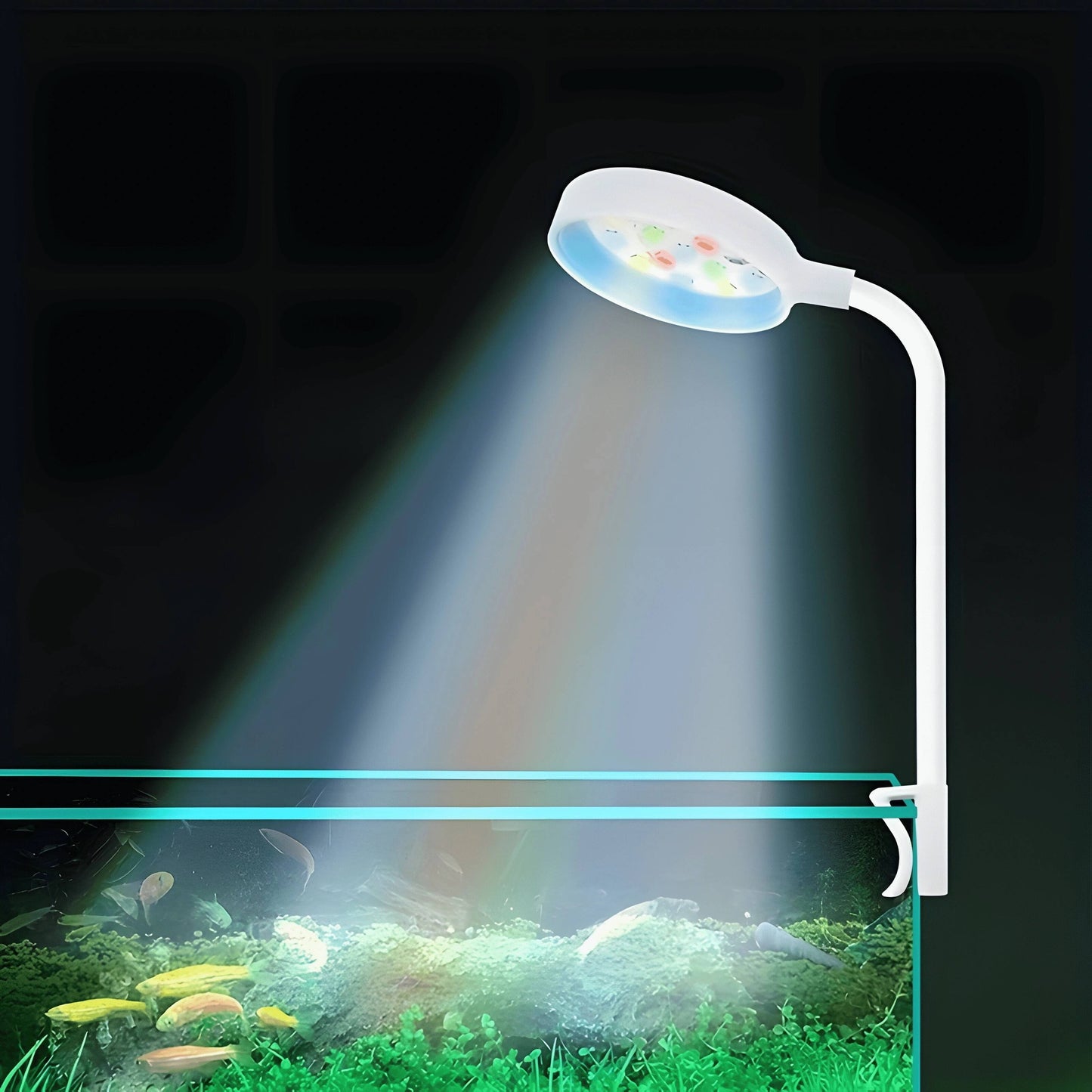 Clip-on aquarium light powered by USB, with full spectrum colorful LEDs for healthy aquatic life.