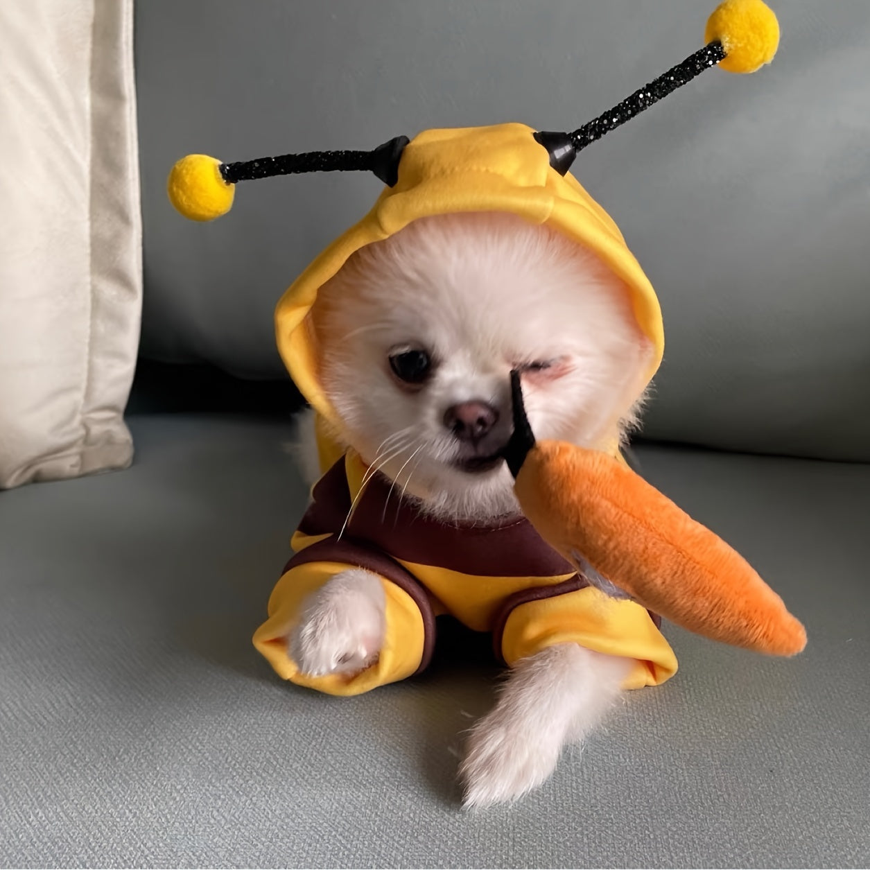 Bee costume hoodie for small to medium pets, suitable for cats and dogs under 8kg. Made from 100% polyester with a cute bee design.