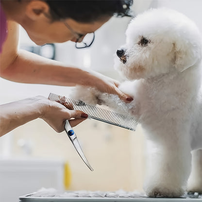 Pet grooming set includes blue trimming scissors, professional grooming scissors, curved scissors and combs, all made of stainless steel for dogs.