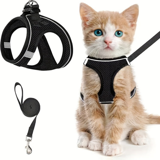 Secure your kitten with our escape-proof harness and leash set for safe outdoor walks.