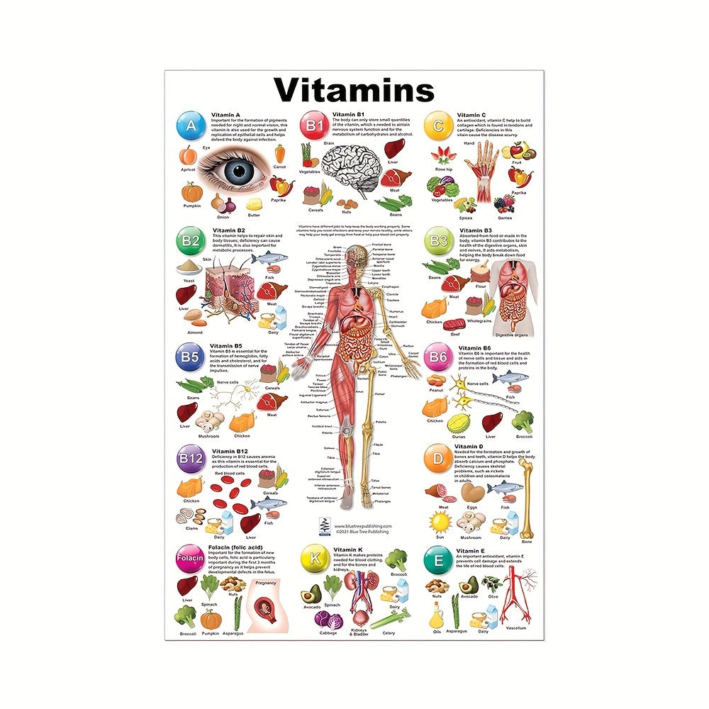 Educational unframed canvas wall art featuring labeled vitamins and anatomy, great for bedroom and living room decor, perfect gift for health enthusiasts.