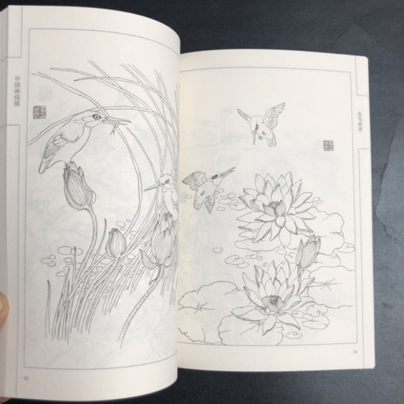 Chinese version of Flower and Bird Painting Manual with Line Drawings