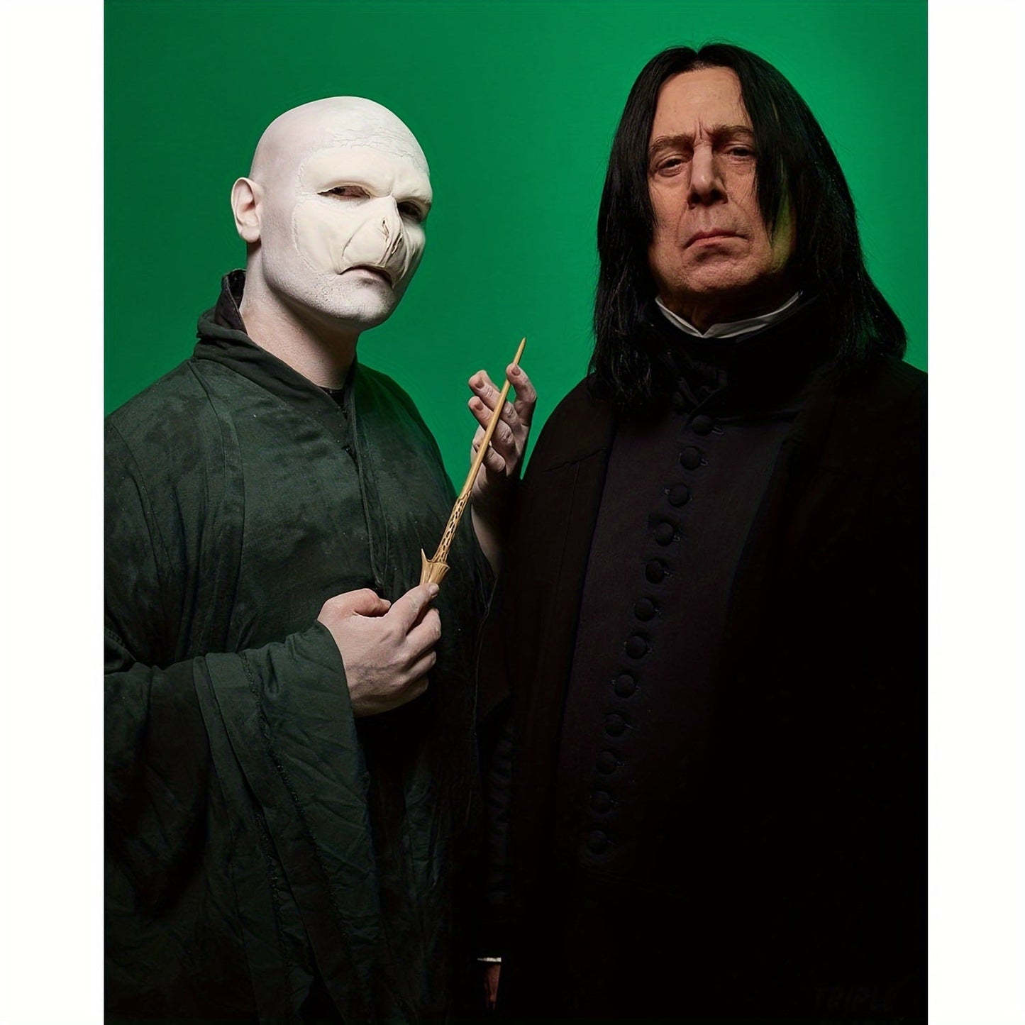 The Hair Professor presents the Severus Snape Costume Wig, a short, straight men's wig inspired by the character of Vincent V. Perfect for adults.