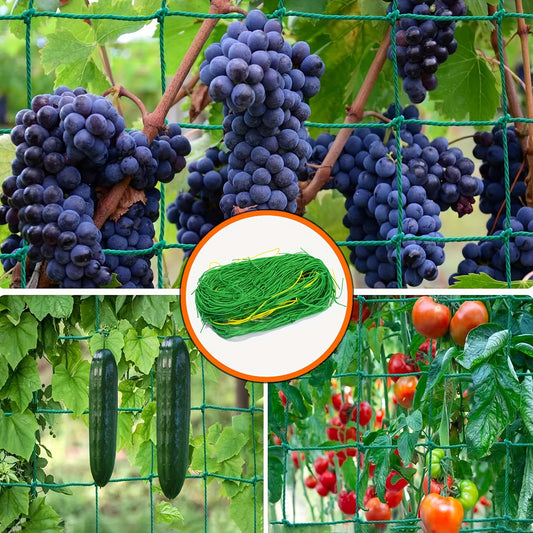 1 Pack of Garden Trellis Netting made of PE material for climbing plants.