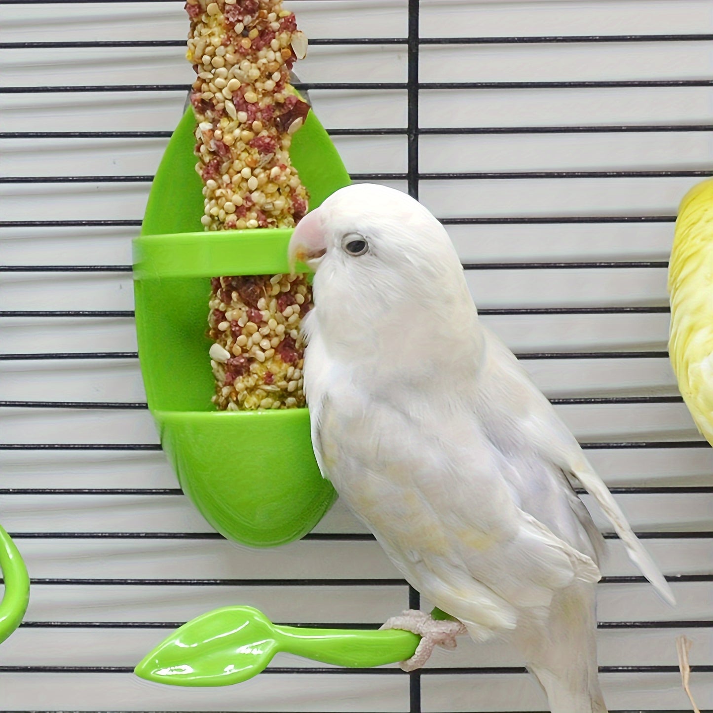 Convenient bird cuttlebone holder for healthy beaks and entertainment in birdcage.